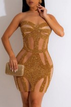 Золотое сексуальное прозрачное платье в стиле пэчворк с круглым вырезом без рукавов Платья