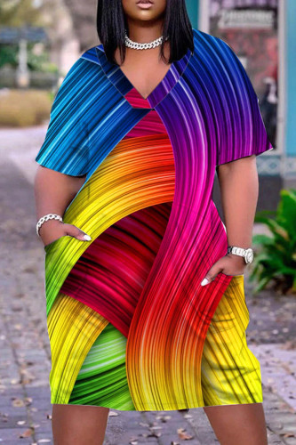 Multicolor Casual Print Basic V Neck Short Sleeve Dress Dresses