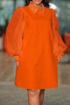 Tangerine Red Повседневные элегантные однотонные лоскутные прямые платья с отложным воротником и бисером