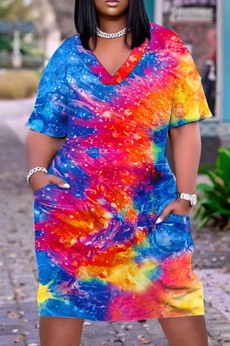 Multicolor Casual Print Patchwork V Neck Short Sleeve Dress