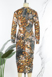 Leopard Print Sexy Print Patchwork V-hals Onregelmatige jurkjurken