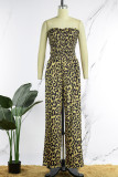 Leopardtryck Sexigt tryck Leopard Patchwork Backless Strapless Straight Jumpsuits