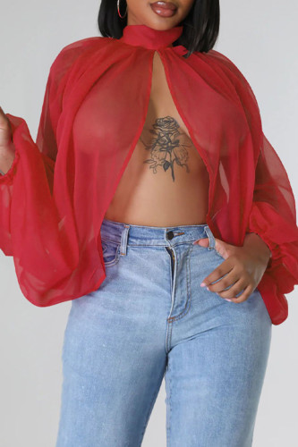 Burgundy Sexy Solid Patchwork See-through Asymmetrical Half A Turtleneck Tops