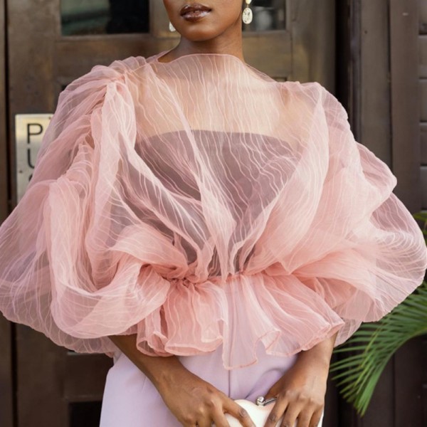 Pink Casual Solid See-through O Neck Tops