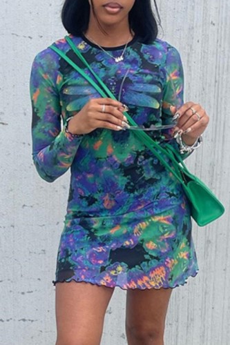 Blue Casual Print Basic O Neck Long Sleeve Dresses