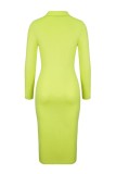 Light Green Casual Solid Fold Turndown Collar Long Sleeve Dresses