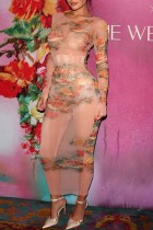 Абрикосовые сексуальные прозрачные платья с круглым вырезом и длинными рукавами с принтом