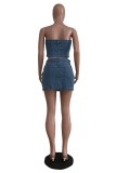 Blue Sexy Solid Backless Strapless Sleeveless Two Pieces