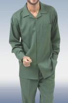 Зеленые брюки с длинными рукавами Прогулочный комплект из двух предметов