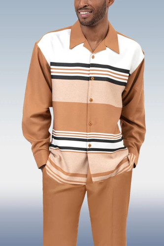 Brown Men's Fashion Casual Long Sleeve Walking Suit 011