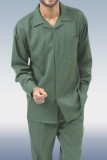 Зеленый прогулочный костюм, комплект из 2 предметов с длинным рукавом