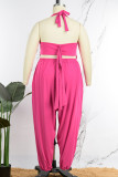 Rose Red Sexig Solid Bandage Patchwork Rygglös Asymmetrisk Grimma Plus Size Two Pieces