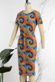 Цветное повседневное базовое платье с круглым вырезом и коротким рукавом с принтом