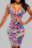 Multicolor Sexy Casual Work Floral Frenulum V Neck Sleeveless Two Pieces