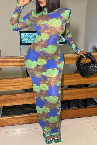 Green Casual Print Basic Half A Turtleneck Long Sleeve Dresses