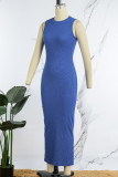 Синий Повседневная однотонная базовая водолазка Длинное платье Платья