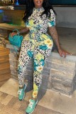 Brown Casual Print Basic O Neck Long Sleeve Two Pieces