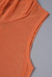 Orange sexy solide Patchwork-Kleider mit durchsichtigem Mesh-Schalkragen, einstufigem Rock