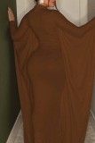 Brown Casual Solid Patchwork Half A Turtleneck Irregular Dress Dresses