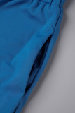 Синий Повседневный С принтом Пэчворк V-образный вырез Длинный рукав Из двух частей