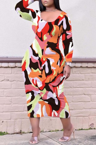 Colour Casual Print Basic O Neck Long Sleeve Dresses