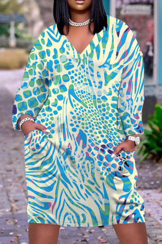 Light Blue Casual Print Basic V Neck Long Sleeve Dresses