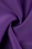 Púrpura Casual Sólido Patchwork Hendidura O Cuello Una Línea Vestidos