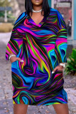 Veelkleurige casual print Basic jurken met V-hals en lange mouwen
