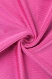 Vestidos de manga comprida roxos casuais lisos com gola alta