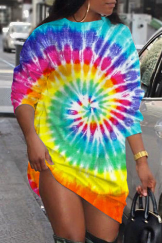 Colour Casual Print Basic O Neck Long Sleeve Dresses