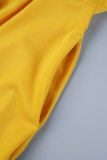Amarelo Elegante Patchwork Sólido com Zíper O Neck Vestidos Linha A (com Cinto)