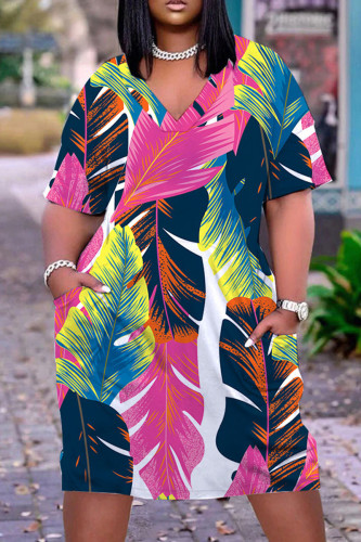 Multicolor Casual Print Basic V Neck Short Sleeve Dress