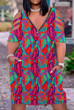 Multicolor Casual Print Patchwork Zipper V Neck Short Sleeve Dress
