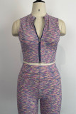Purple Casual Print Patchwork Zipper Collar Sleeveless Two Pieces