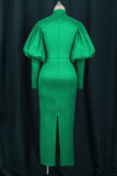 Зеленое модное повседневное однотонное базовое вечернее платье с длинными рукавами и водолазкой