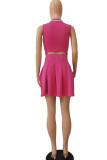 Rose Red Casual Sportswear Print Patchwork Reißverschluss Umlegekragen Kleider in A-Linie