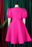 Rose Red Casual Elegant Solid Patchwork O Neck A Line Dresses
