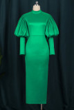 Зеленое модное повседневное однотонное базовое вечернее платье с длинными рукавами и водолазкой