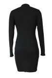 Svarta Casual Solid Basic långärmade klänningar med turtleneck