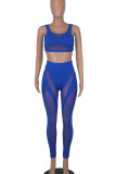 Blue Sexy Solid Patchwork See-through U Neck Two Pieces