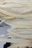 Robes de jupe crayon à col oblique asymétrique en plumes patchwork solides blanches sexy