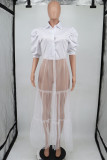 White Fashion Casual Solid Patchwork Mesh Turndown Collar Shirt Dress