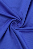 Azul Casual Sólido Básico Cuello en U Manga larga Tallas grandes Vestidos