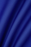Azul Royal Elegante Sólido com Folho Dobrado com Zíper O pescoço Vestidos Linha A