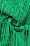 Colletto rovesciato casual tinta unita verde manica lunga due pezzi
