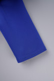 Azul Royal Elegante Sólido com Folho Dobrado com Zíper O pescoço Vestidos Linha A