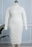 White Casual Solid Basic Half A Turtleneck Long Sleeve Plus Size Dresses