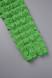 Grön Casual Solid Basic Half A Turtleneck Långärmad Plus Size Klänningar
