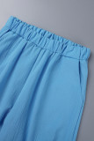 Hemelsblauw Casual effen patchwork overhemdkraag met lange mouwen, twee stukken