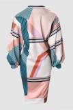 Colour Casual Print Basic O Neck Long Sleeve Plus Size Dresses